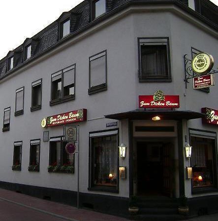 Hotel Zum Dicken Baum Mayen Exteriör bild