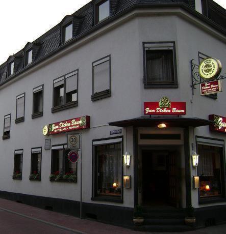 Hotel Zum Dicken Baum Mayen Exteriör bild
